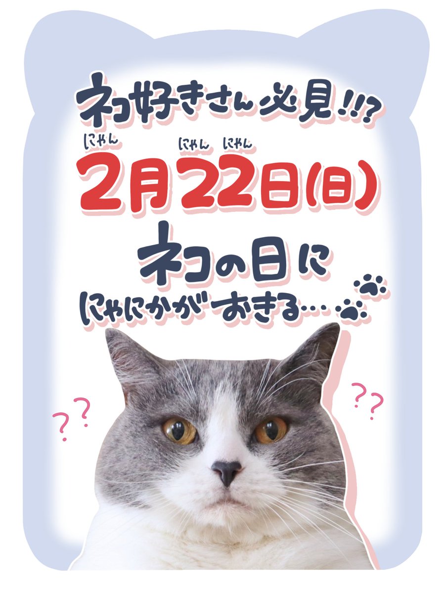 猫好きさん必見！！！？ 2/22なにかが起こる…🐾