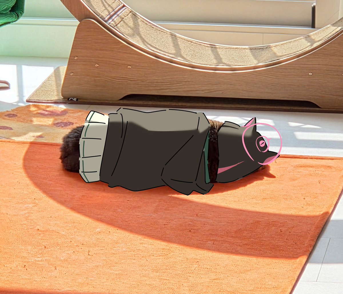 純粋な不純物@순수한불순물 (@parang9494) / Posts / X