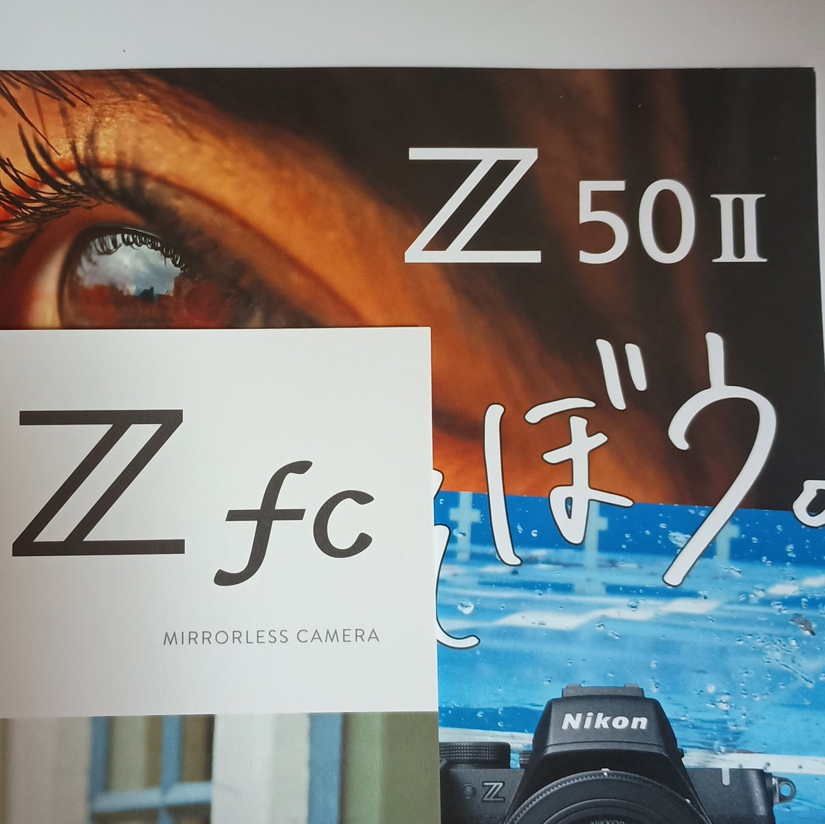 カメラ有識者がいたらアドバイス欲しいのだけど、始めて一眼買うなら