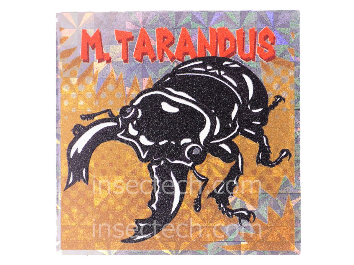 新商品】 駄画紙屋むしーる @aoma_mushino85 タランドゥスオオツヤ