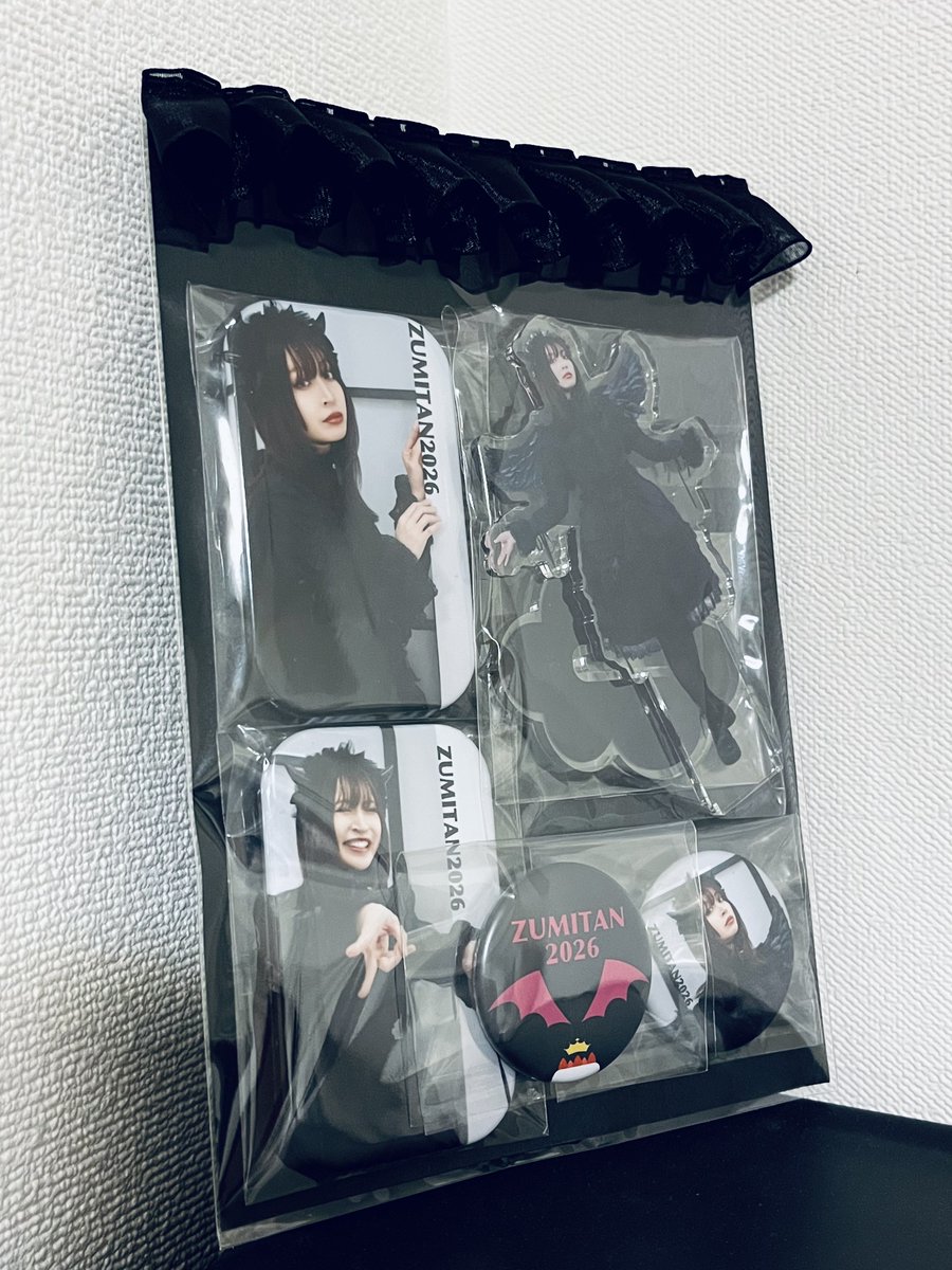 コンプリートセットはこんな感じです🦇 ずみたんグッズは通販もやる