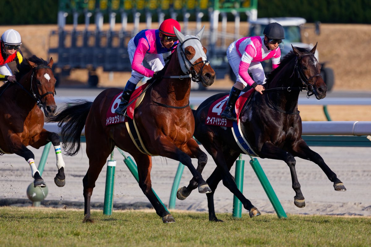 メイショウタバル