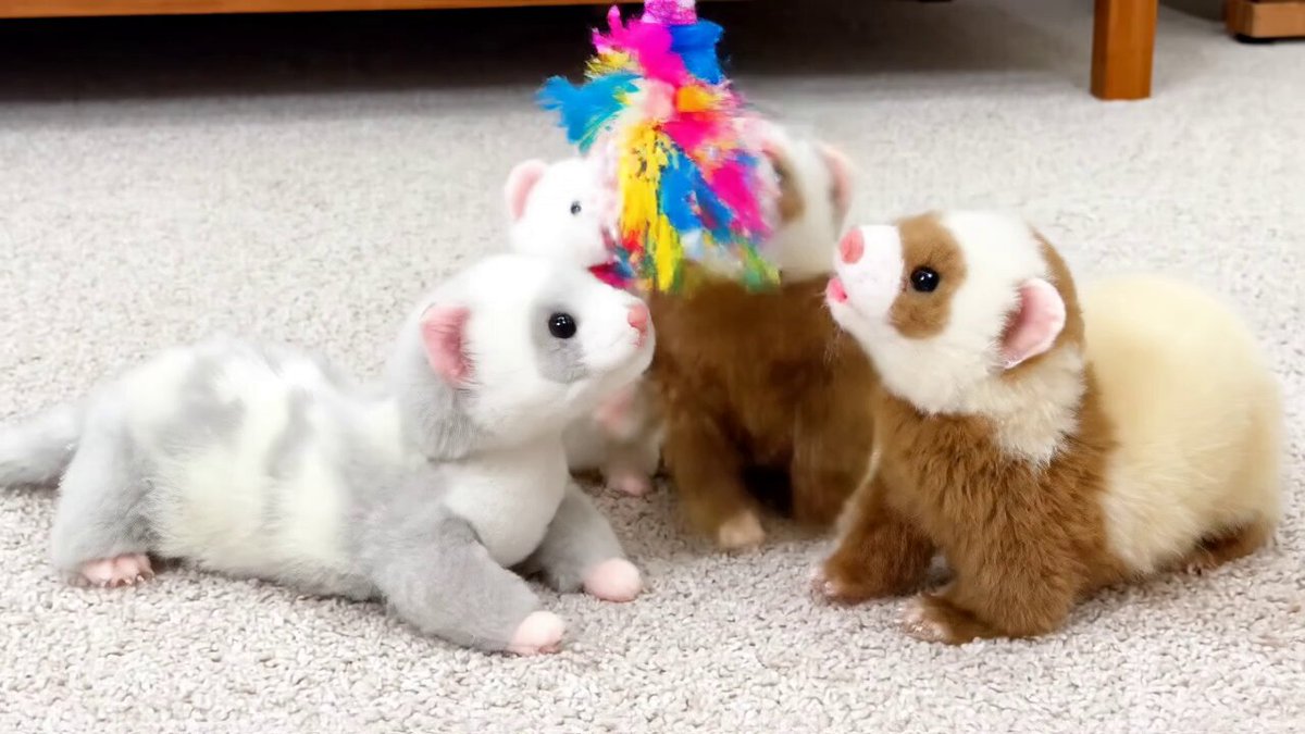 AI動画 #くったりろんぐフェレット 遊び疲れてくったり眠るフェレット