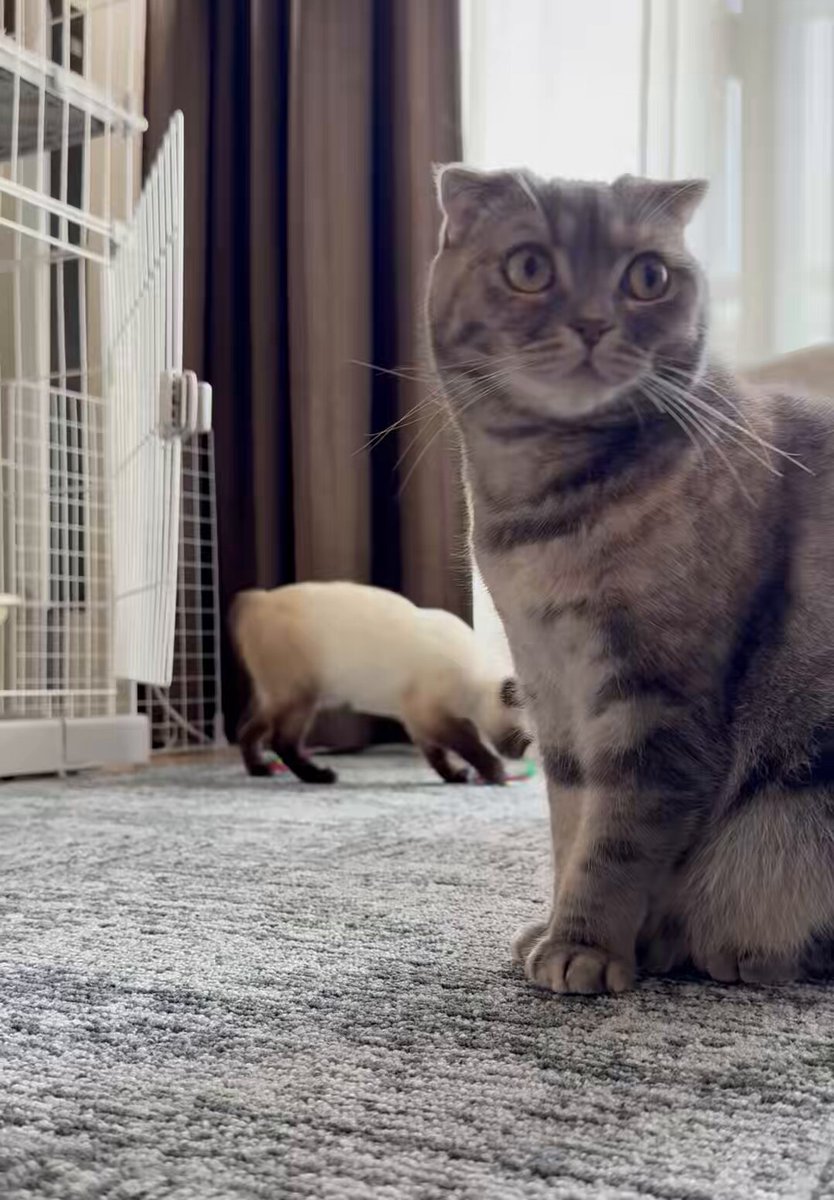 moka (@Moka0527Ramu) / Posts / X