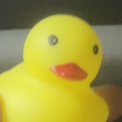 Kentaro was so cool and wonderful, so I'd love to see lots of