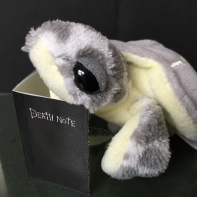 隠遁かめちゃん (@white_kamechan) / Posts / X