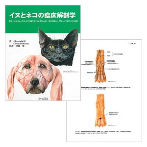 新イヌとネコの臨床解剖カラーアトラス チクサン出版社 DOG and CAT
