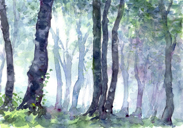 朝靄の森 : 水々彩々、流れのままに。