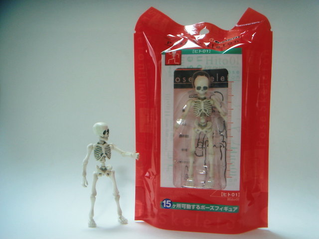 ポーズスケルトン レビュー : 遊慈のEasy Life