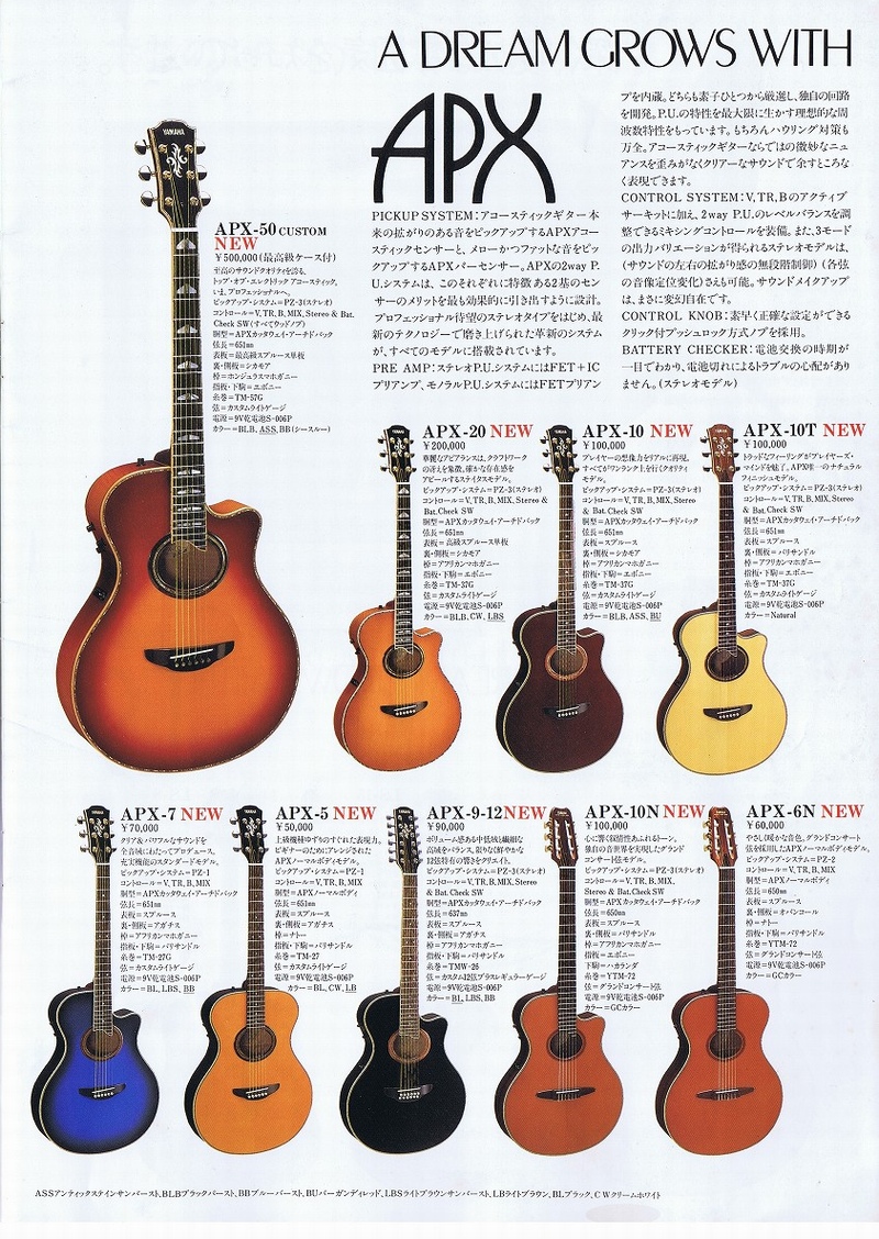 YAMAHA ヤマハ CWE-8 エレアコ 廃盤 希少 ハードケース 長渕剛 YAMAHA