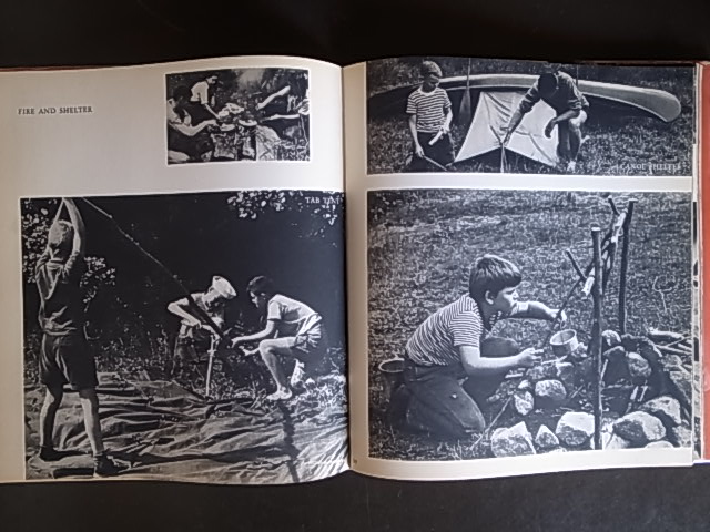 SUMMER'S CHILDREN / Barbara Morgan : Books & Things