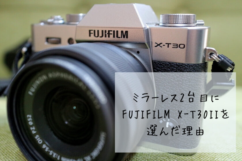 ミラーレス2台目にFUJIFILM X-T30IIを選んだ理由 – ふぉとの葉