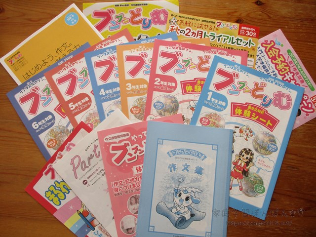 ブンブンどりむを口コミ＆レビュー！1年生の教材内容や効果はある？