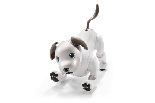 エンタテインメントロボット“aibo”（アイボ）を発売 | ソニー