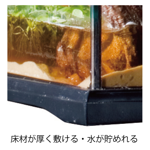 グラステラリウム9030 PT2611 | ジェックス株式会社