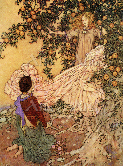 エドマンド・デュラック「アンデルセン童話」の挿絵 [124720906]の