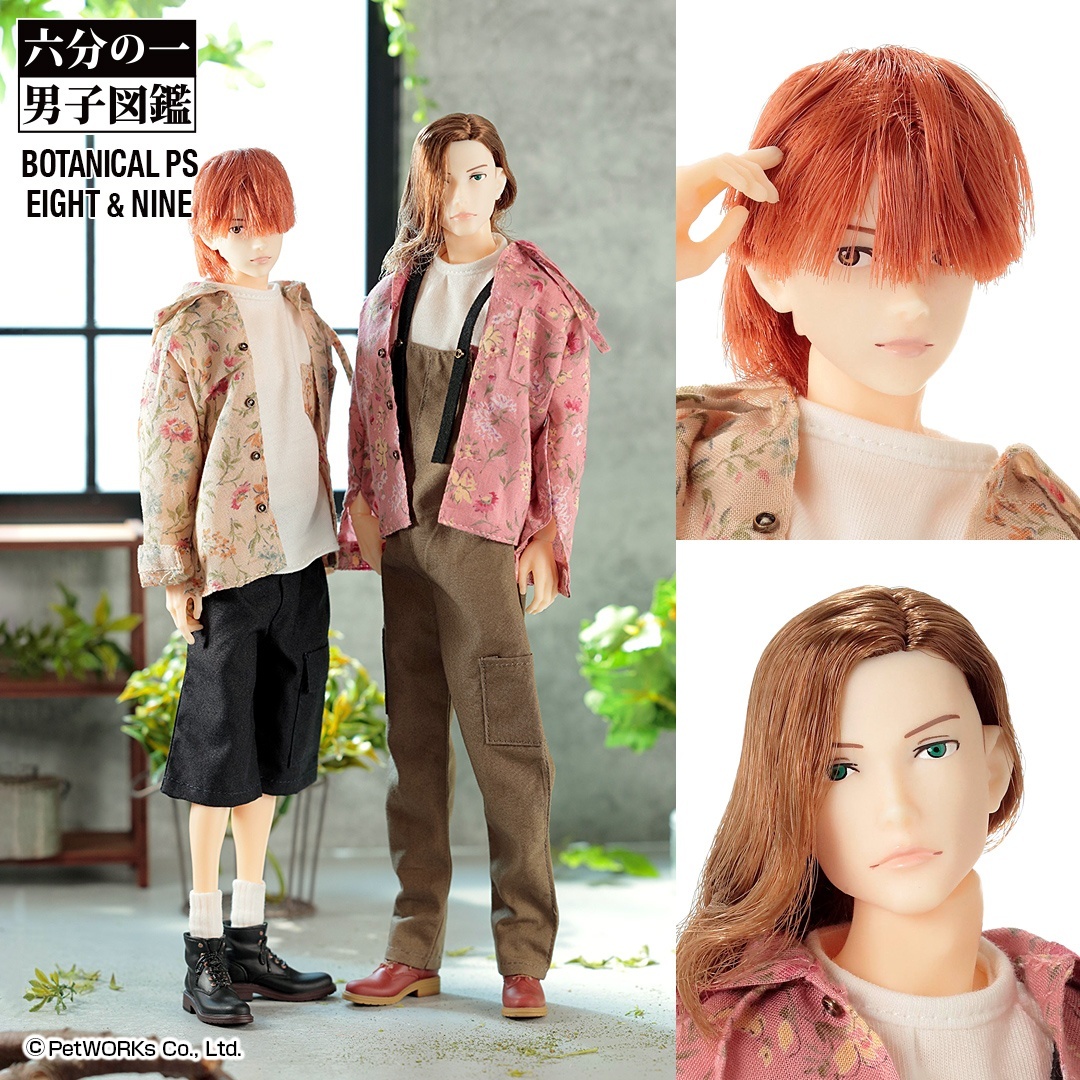2025年9月9日入庫「六分の一男子図鑑 ボタニカル エイト / ナイン PS
