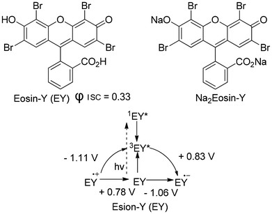 The formation reaction of a carbon–carbon bond promoted by Eosin-Y