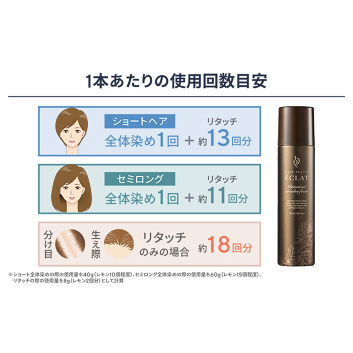 ヘアボーテ エクラ ボタニカルエアカラーフォームup2本セット