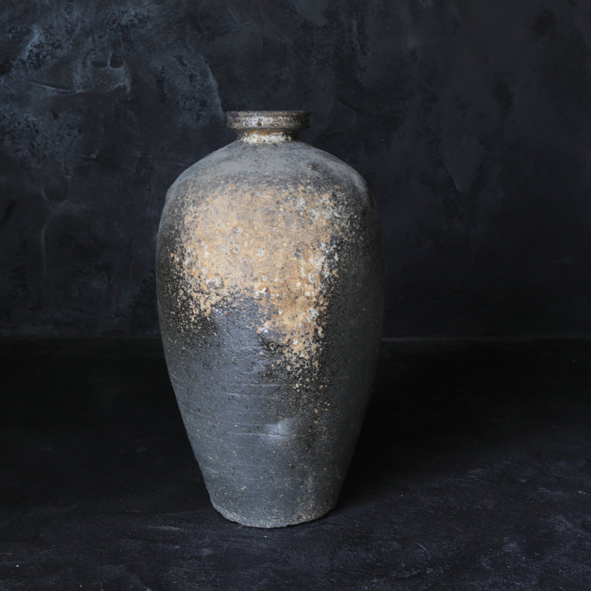 rcnir-2023-00002337.jpg?v=