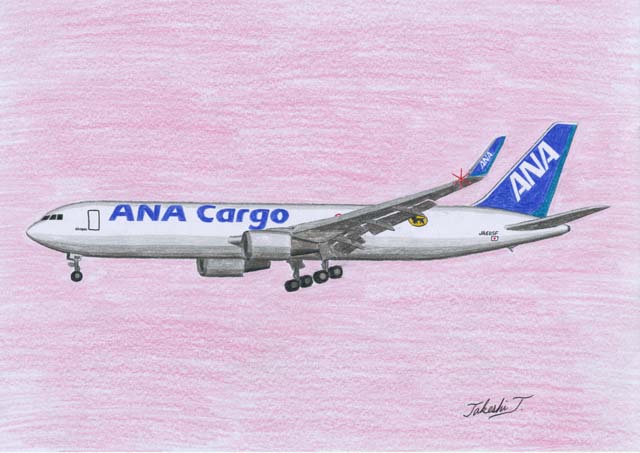 ANA B767-300