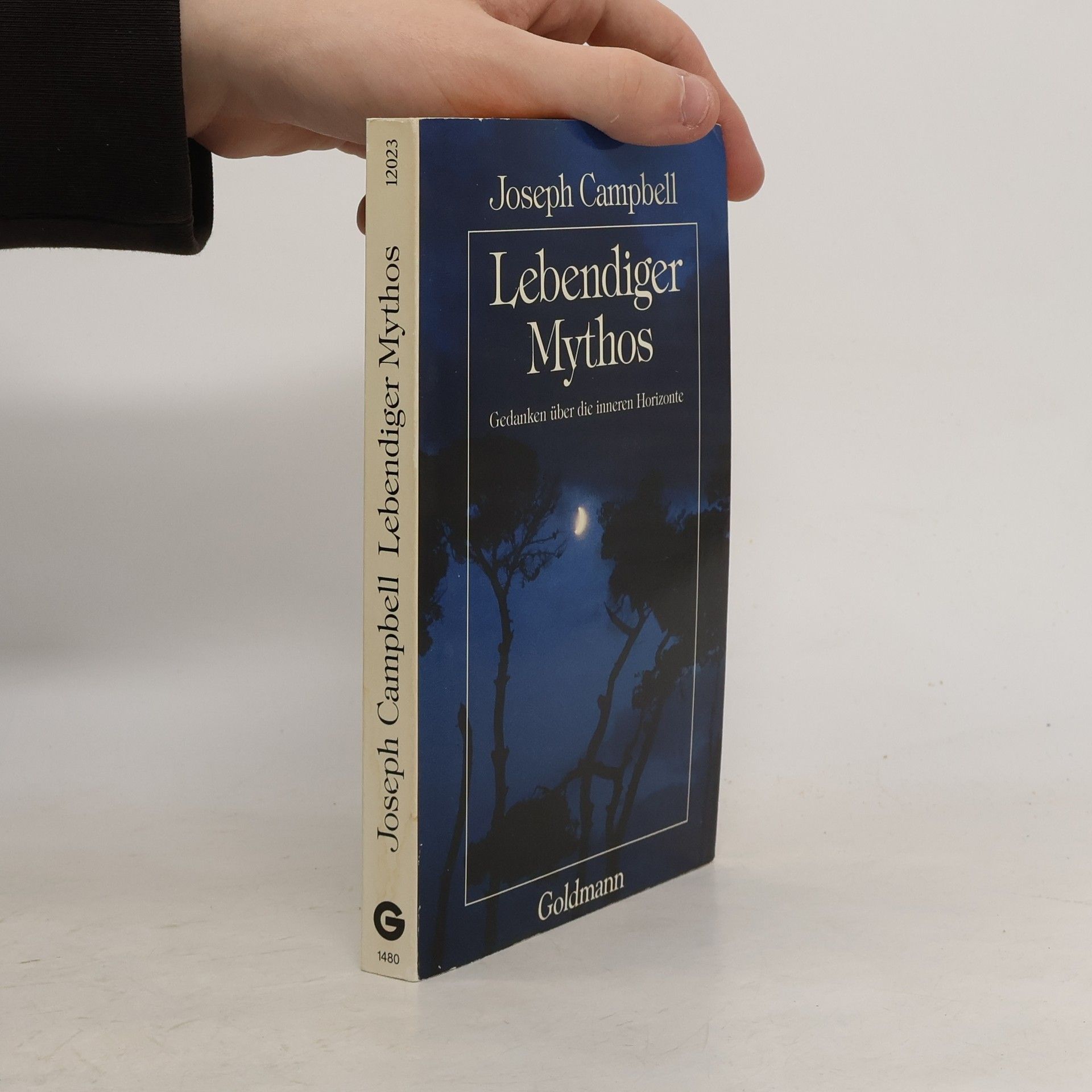 Architektur 1900-1929 in Deutschland - Walter Müller-Wulckow