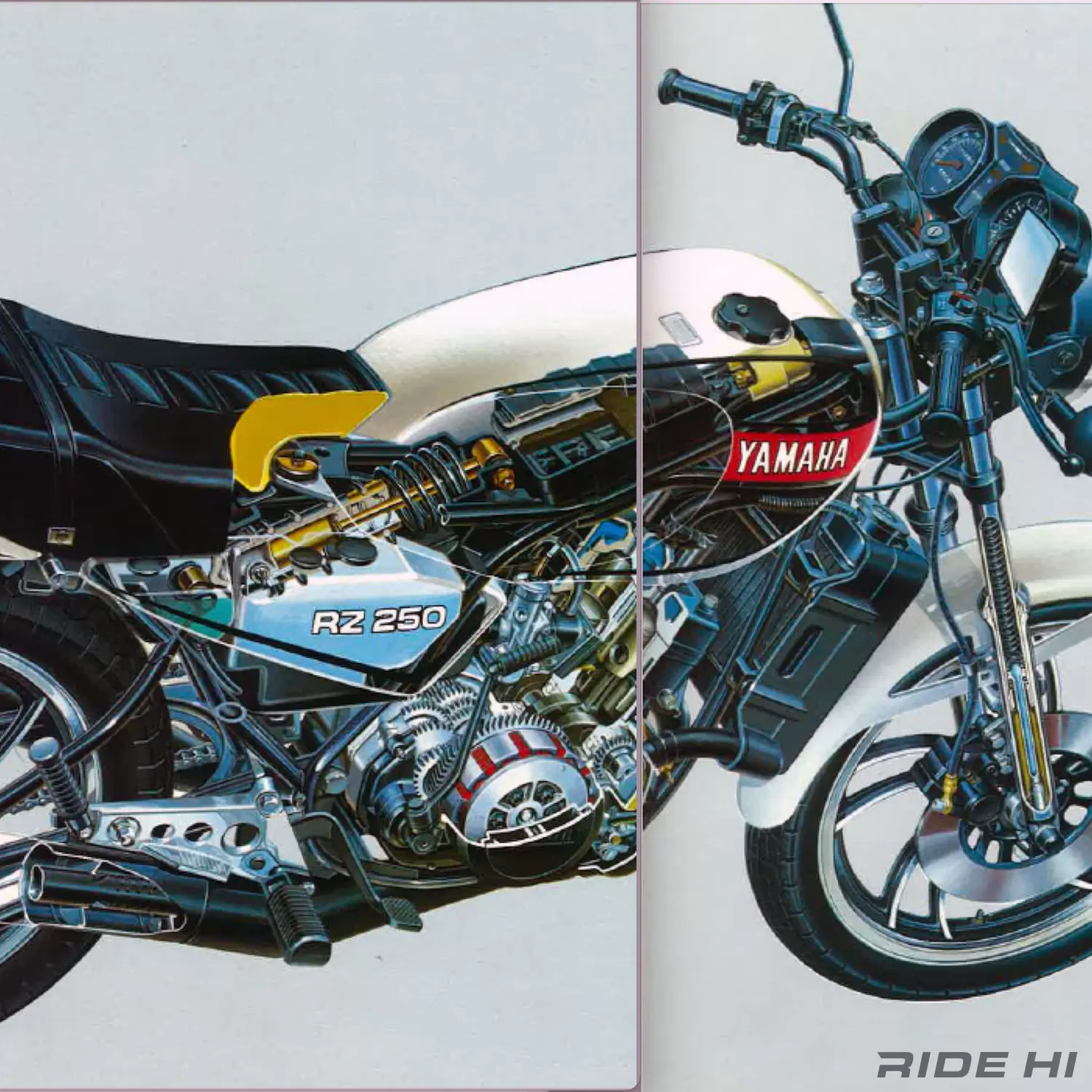 チャンバー、モノサス、ライポジまでレースパーツだらけ。 まさかの夢