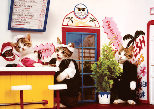 なめんなよ 又吉のかっとびアルバム 写真集 | 立東舎