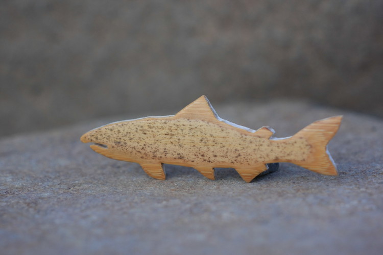 Bambrooch】中禅寺湖のレイクトラウト四天王｜Riverline｜