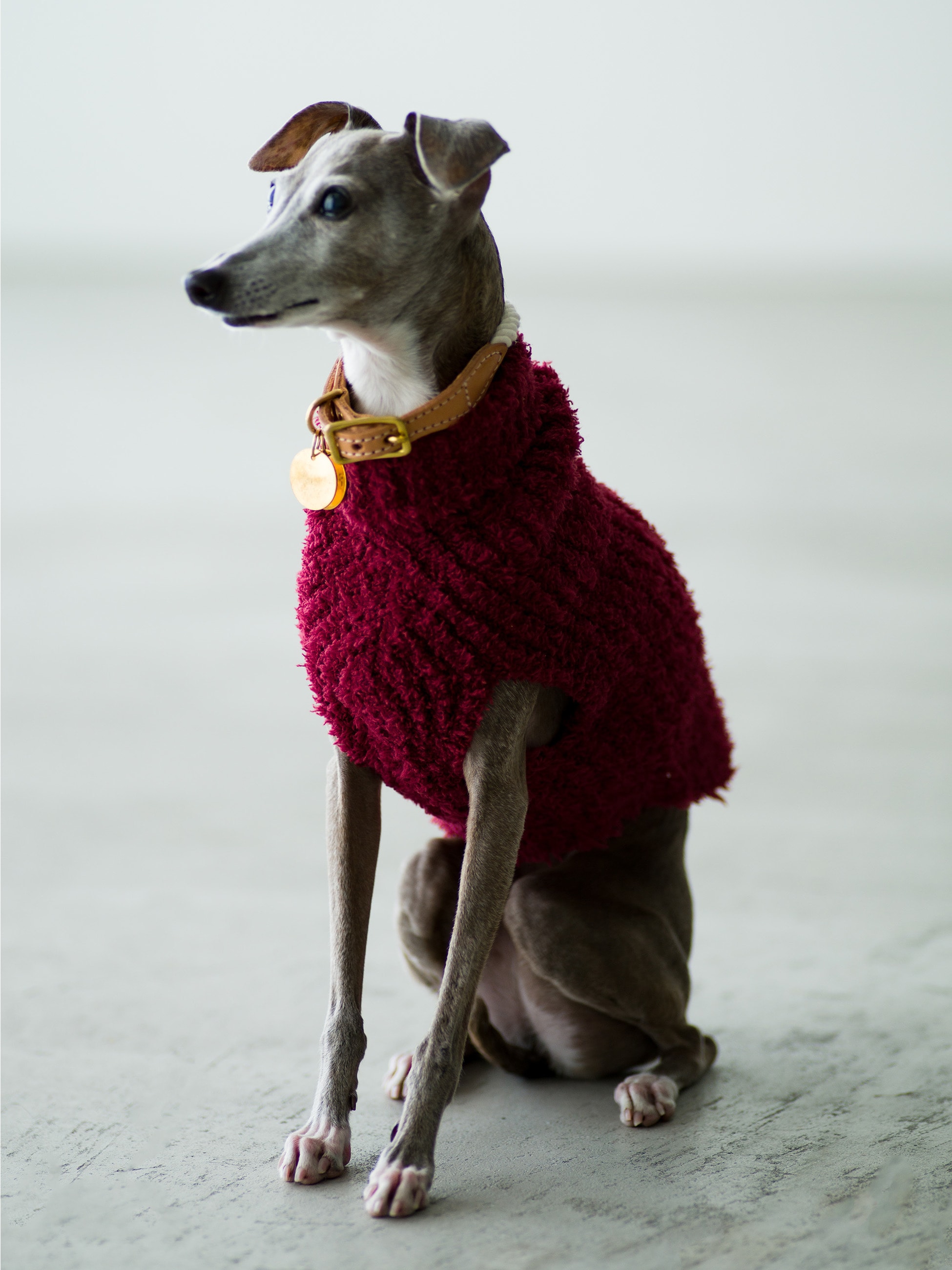 リブ ペットニット｜BAREFOOT DREAMS(ベアフット ドリームズ)｜Ron Herman