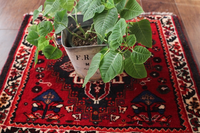 送料無料】シラーズ絨毯 トライバルラグ（56×62cm） 43