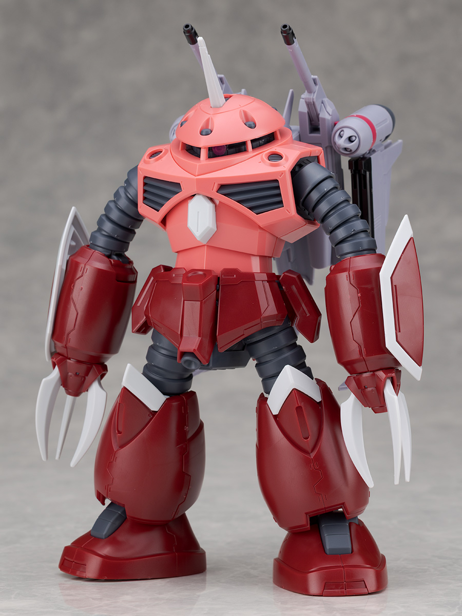 HGCE ズゴック(SEED FREEDOM Ver.) レビュー