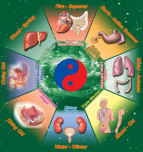 Fusion of the Five Elements I, II & III Comprehensive – Mantak