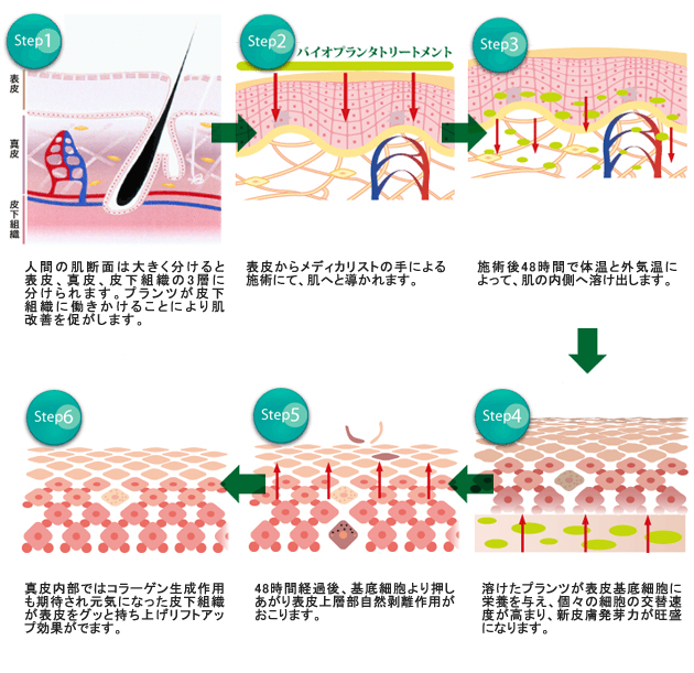 2Bバイオトリートメント｜東京・福岡・鹿児島でブラジリアンワックスや