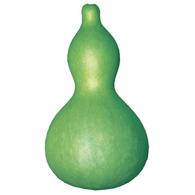 ヒョウタン 大ひょうたん｜種（タネ）,球根,苗,資材,ガーデニング