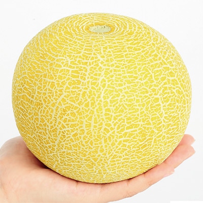 メロン ころたんの検索結果｜種（タネ）,球根,苗,資材,ガーデニング