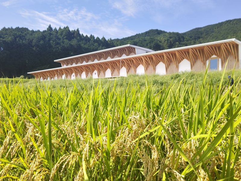 S風の森2024☆ 静間/北地区01.販売開始(^^)/ - 風の森 - ワダヤ 日本酒