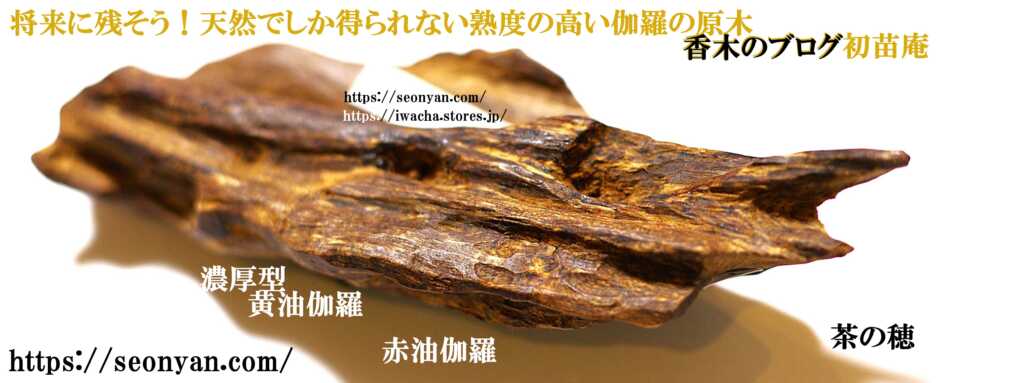 伽羅の全貌 沈香との違い茶の穂 香木と本気の茶