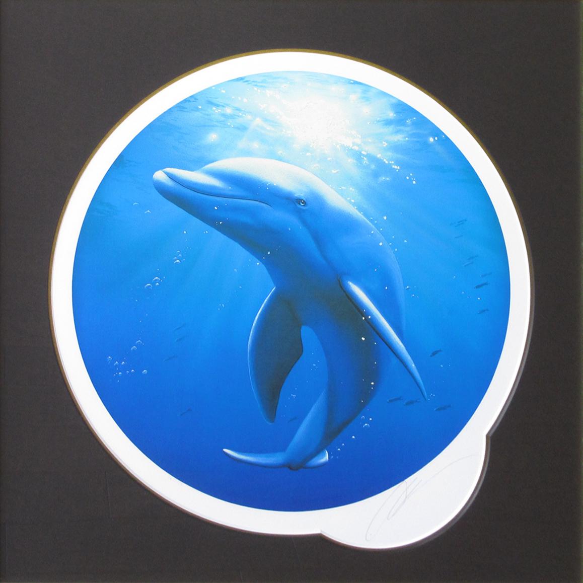 ドルフィンシンフォニー | ｜正光画廊