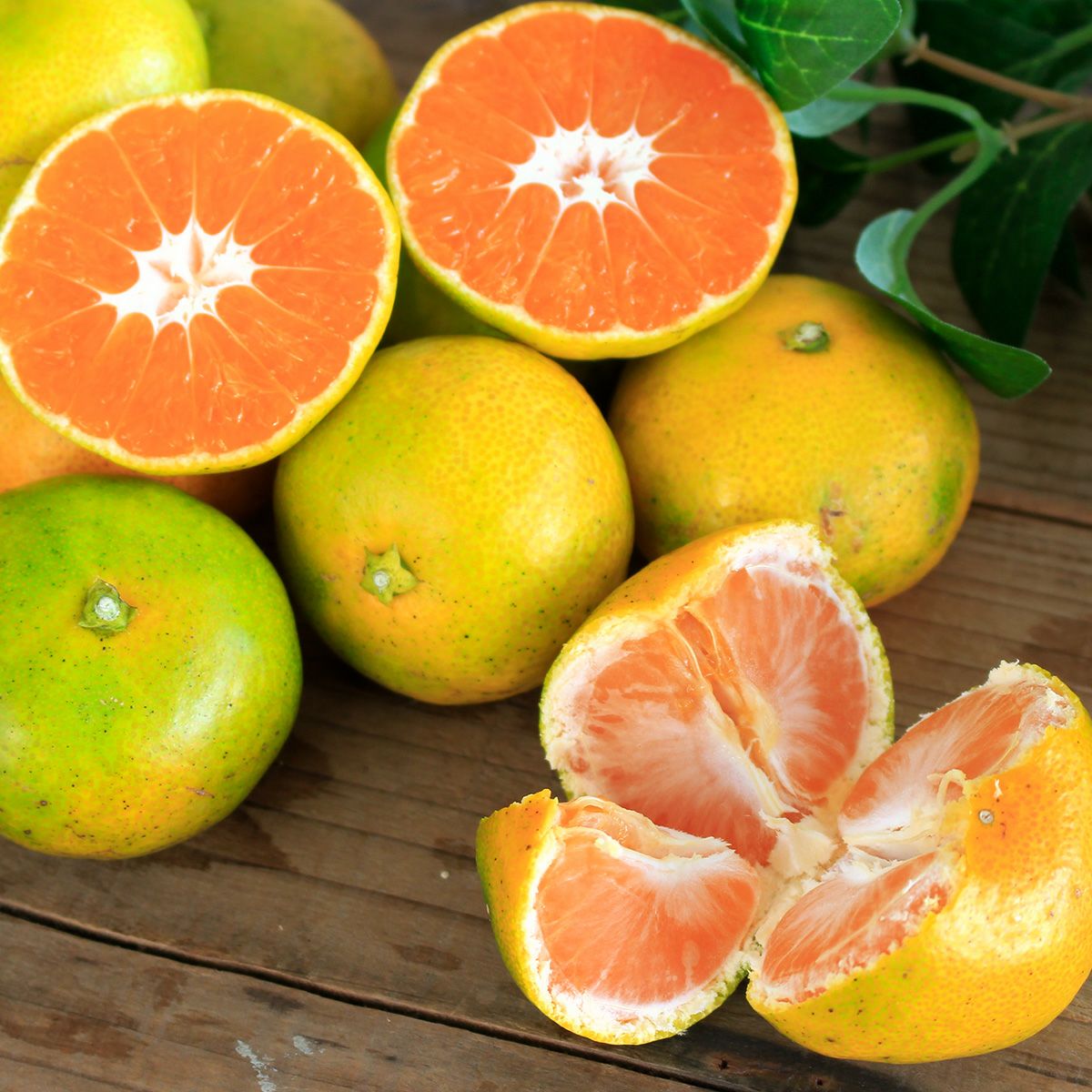 極早生みかん | セレクトフード