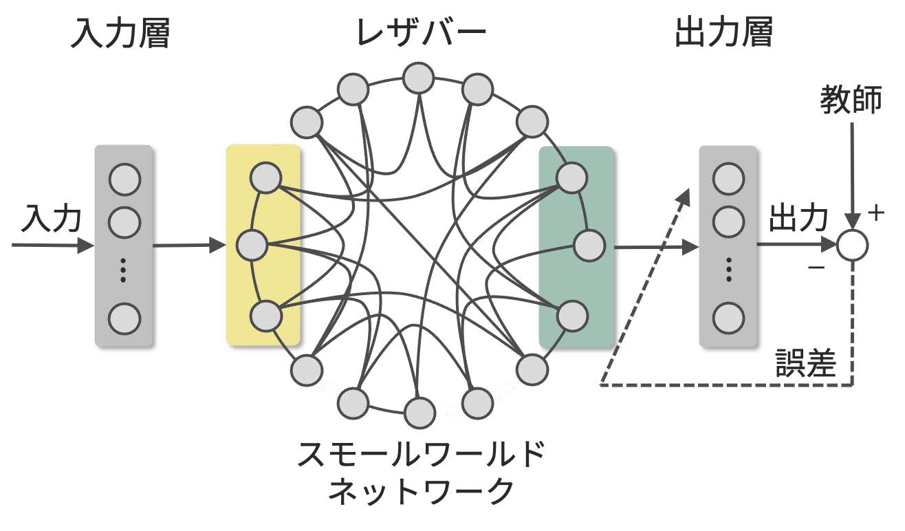 脳の構造と機能を模した人工ニューラルネットワークの開発とその学習