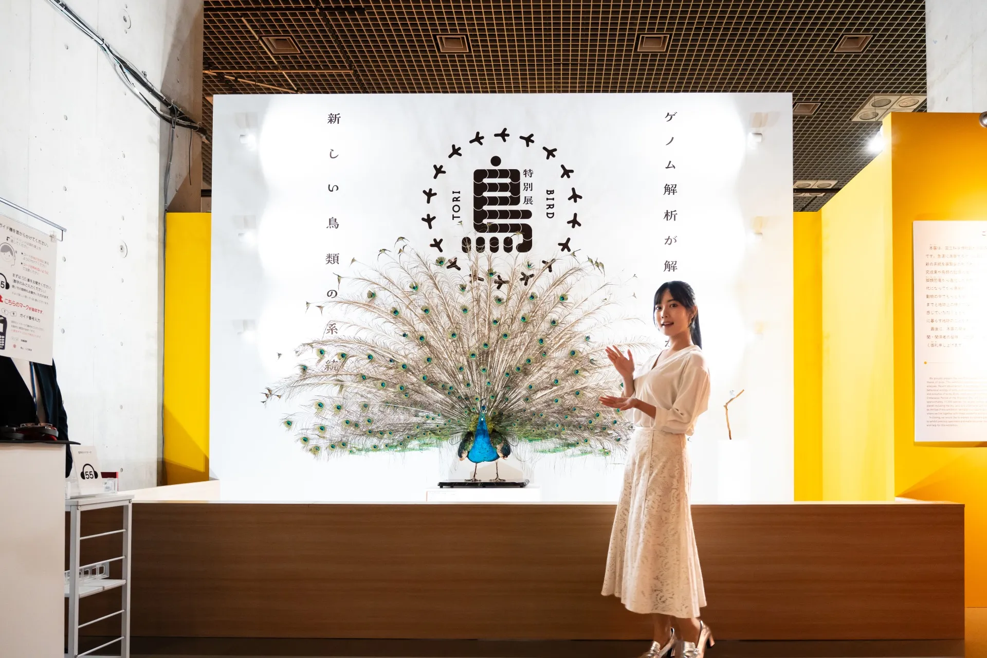 600点以上の鳥標本が大集結！科博初「鳥」がテーマの特別展【国立科学