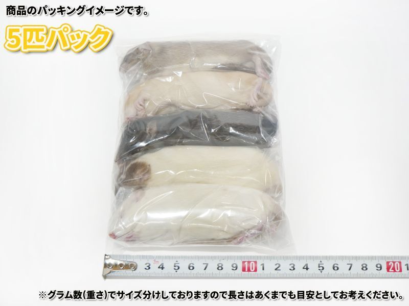 国産 冷凍ラット80~90g 5匹セット