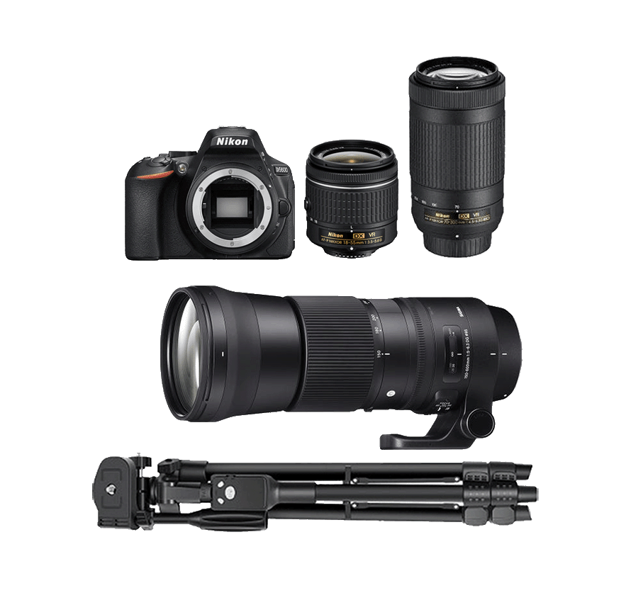 カメラレンタル] 野鳥撮影カメラセット