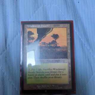 吹きさらしの荒野」の激安通販 | magi