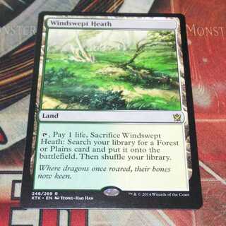 吹きさらしの荒野」の激安通販 | magi