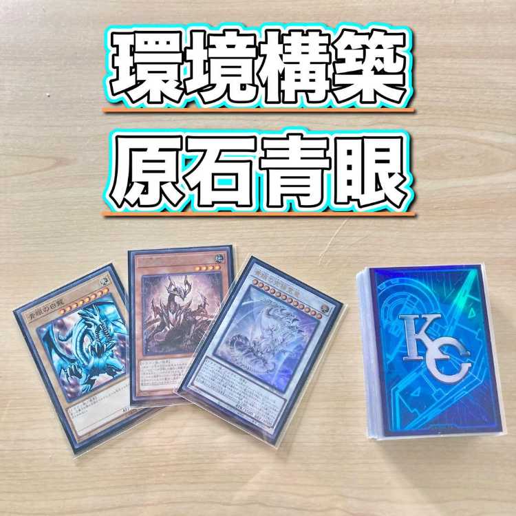 遊戯王 大会構築原石青眼デッキ40枚+E X15枚 遊戯王 大会構築原石青眼