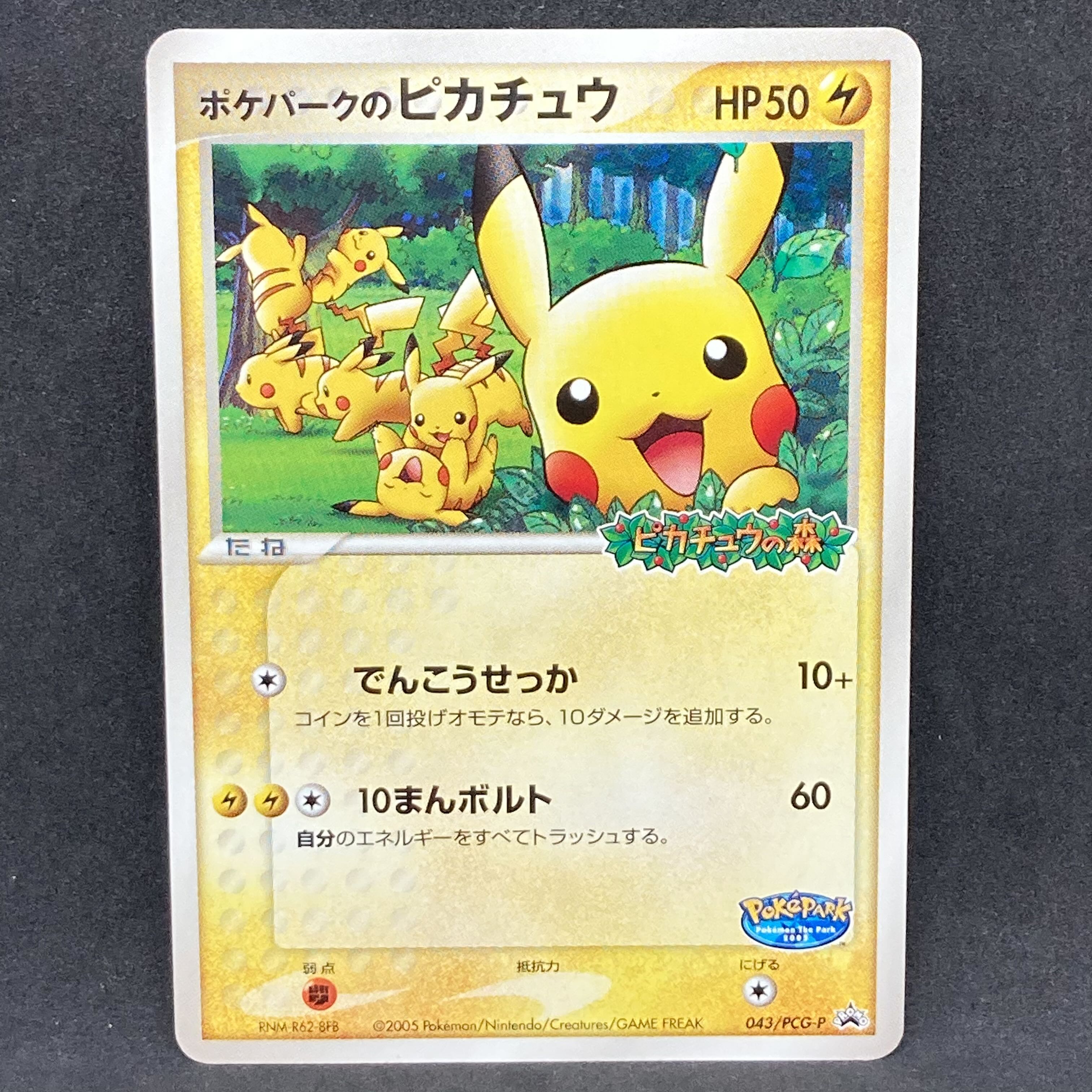 ポケモンカード PCG ポケパークのピカチュウ プロモ 1枚の通販 希少