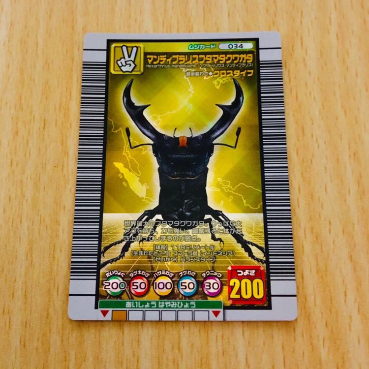 マンディブラリスフタマタクワガタ】 1枚の通販 TCollection