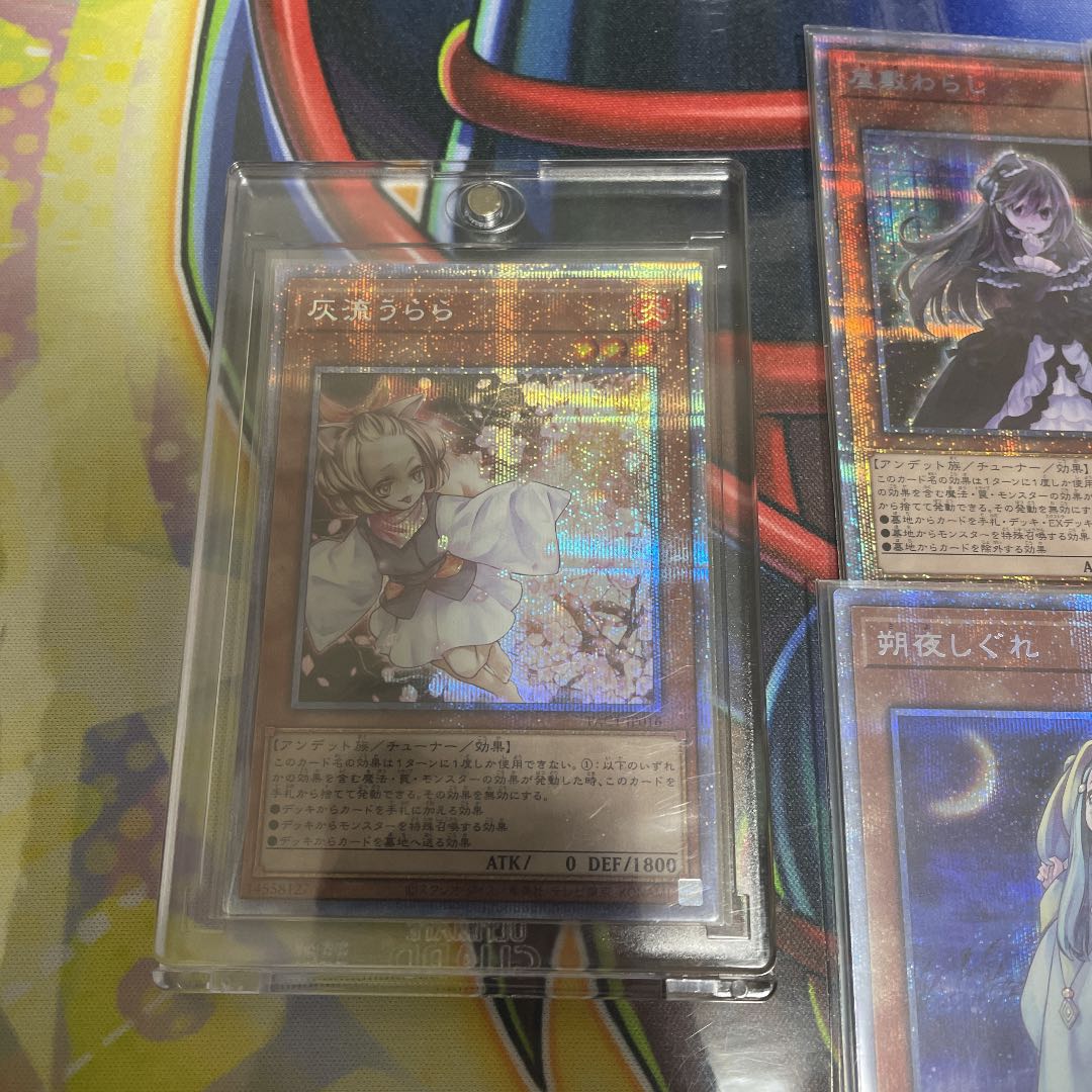 遊戯王 灰流うらら 屋敷わらし 幽鬼うさぎ 朔夜しぐれ 儚無みずき 各